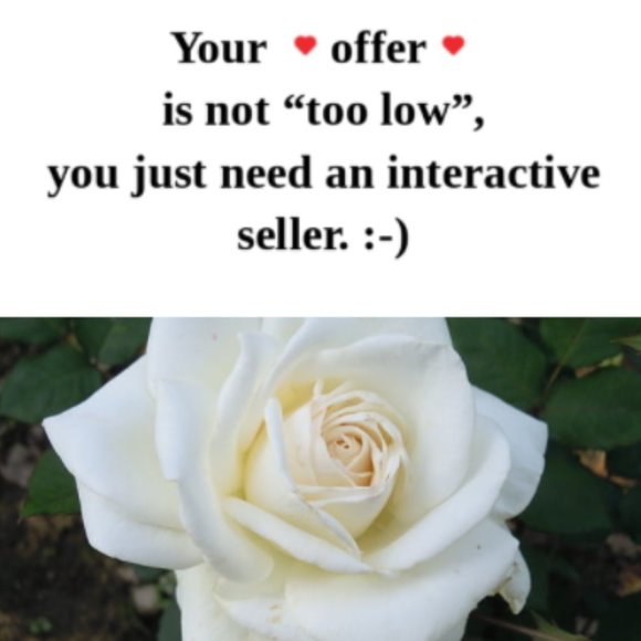 Tropical Sunny Coachella Party Floral Beach Short Dress Plus Size Smocked Waist - Picture 17 of 17